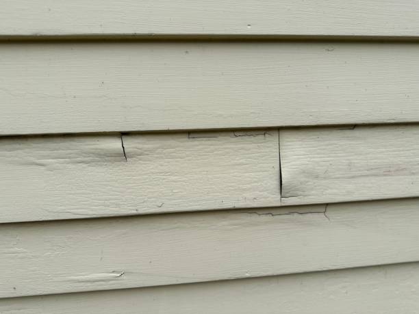 Best Aluminum Siding Installation  in Fort Dodge, IA